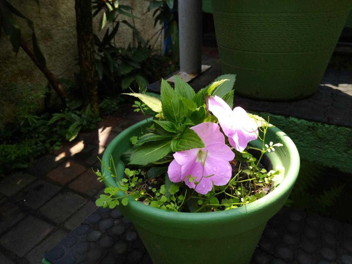 Kombi - Filial Jardim Botanico