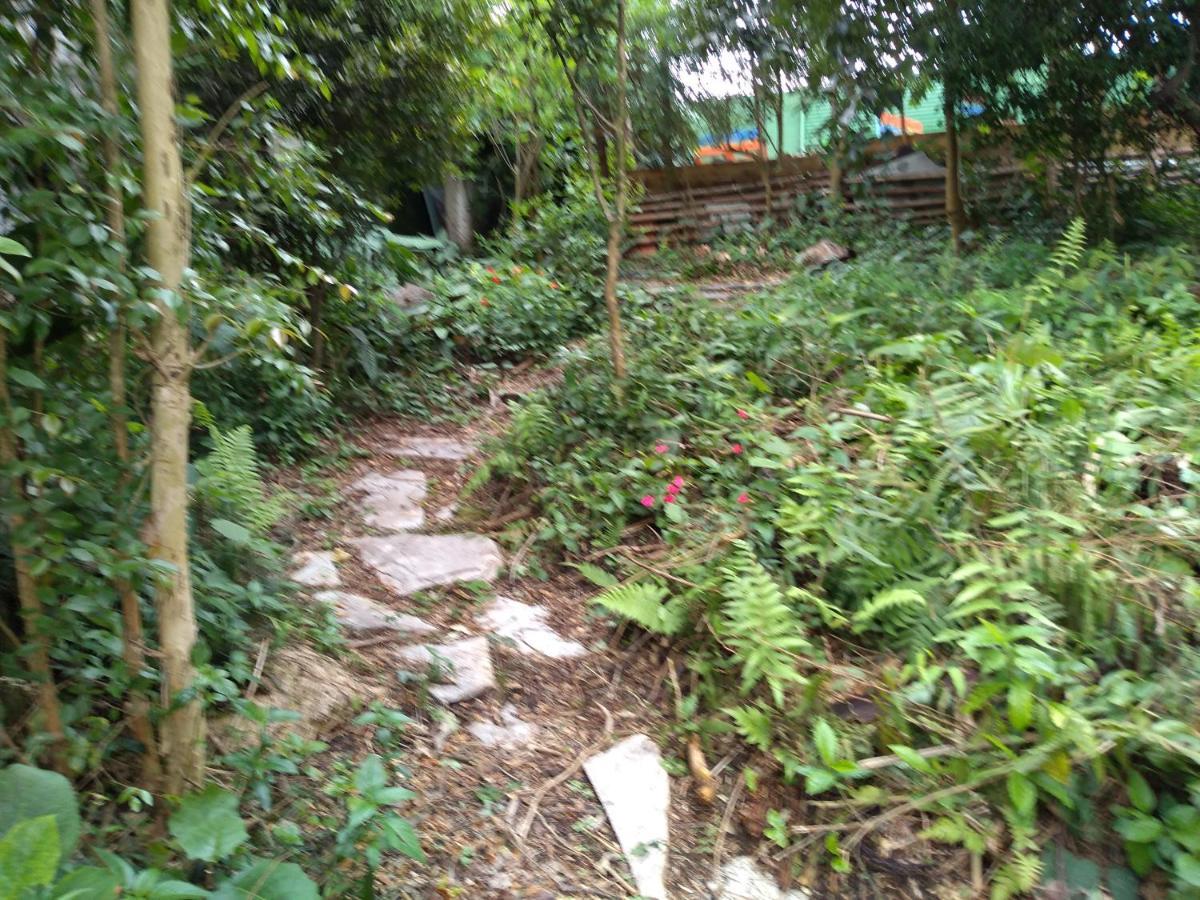 Kombi - Filial Jardim Botanico Albergue *